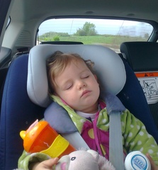 Asleep on the way home